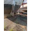 Used sailboat Tjalk