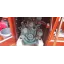 Used sailboat OCEANIS 393 Clipper