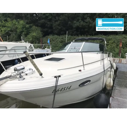 Bateau à moteurs d'occasion Sea Ray Amberjack 315