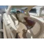 Used Yacht PRESTIGE 34 SPORT TOP
