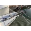 Used sailboat 421