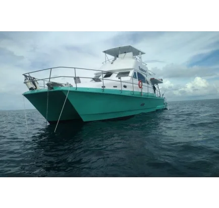 Bateau à moteurs d'occasion Custom Built Conde Catamarans