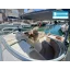 Yacht d'occasion Giada 30