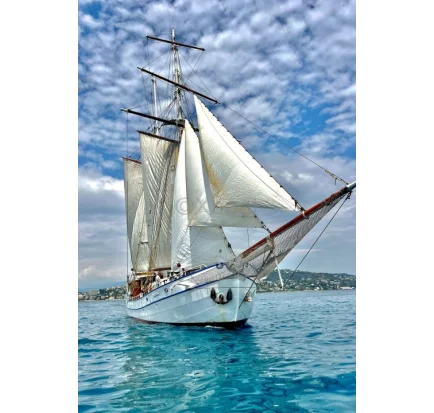 Used Sailboat xboat media