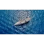 Used sailboat GOELETTE 36 M ACIER