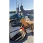 Used sailboat GOELETTE 36 M ACIER