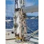 Used sailboat CAIQUE TURC
