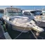 Used Yacht WELLCRAFT COASTAL 290