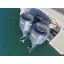 Used Yacht WELLCRAFT COASTAL 290