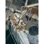 Used sailboat SUN ODYSSEY 42I