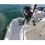 Used Yacht GREENLAND 34