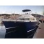 Used Yacht LAGOON POWER 43