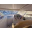 Used Yacht MONTE CARLO 32 HARD TOP