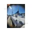 Used sailboat WILDERNESS 1320