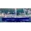 Used sailboat SHARK 50