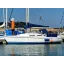 Used sailboat 312