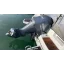 Used Yacht MERRY FISHER 755