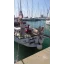 Used sailboat CELESTIAL 48