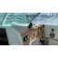 Used Yacht MERRY FISHER 700