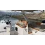 Used Yacht MEDLINE 750