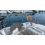 Used sailboat SUN ODYSSEY 389