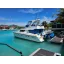 Used Yacht AFRICAT 420