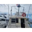 Used Yacht RIVIERA 33 FLYBRIDGE