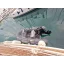 Used sailboat Jeanneau Sun Odyssey 49