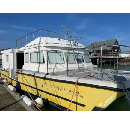 Bateau à moteurs d'occasion Houseboat Powercat 40 converted to a houseboat