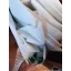 Used sailboat 43