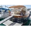 Used Yacht 12 CABINATO
