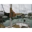 Used sailboat 40