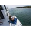 Used Yacht MERRY FISHER 1295 FLY