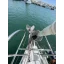 Used sailboat 49