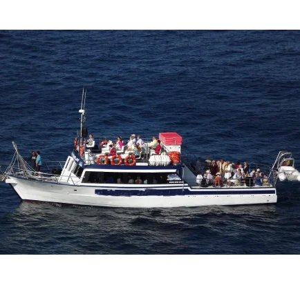 Used Motorboat Commercial Passengers Motor Boat