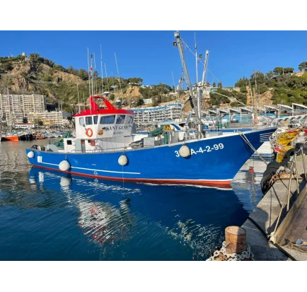 Used Motorboat Custom Built Fishing Boat Ros Carceller