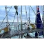 Used sailboat Classic 50FT steel cutter