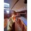 Voilier d'occasion DUFOUR 45 CLASSIC
