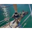 Used sailboat 445