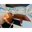 Used Yacht Marine 345