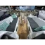 Used sailboat Sun Odyssey 350