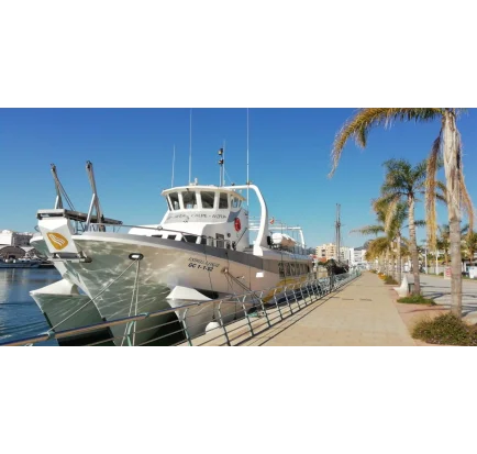 Used Motorboat Commercial Trimaran