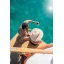 Used Yacht 26