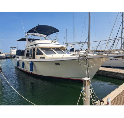 Bateau à moteurs d'occasion Unique Tolly Craft 44 Cockpit Motor Yacht