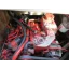 Used sailboat 29