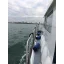Used Yacht 29