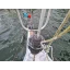 Used sailboat 24i
