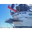 Used sailboat 331