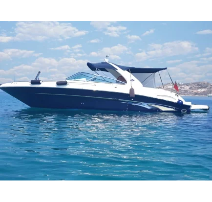 Used Motorboat Sea Ray 295 Sun Sport
