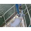 Used sailboat 34